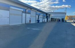 SERVICE AUTO Ultramodern (Business ultraprofitabil 