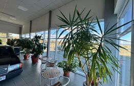 SERVICE AUTO Ultramodern (Business ultraprofitabil 