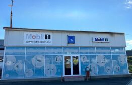 SERVICE AUTO Ultramodern (Business ultraprofitabil 