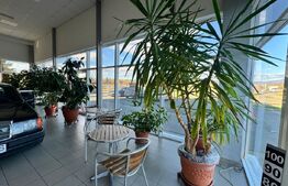 SERVICE AUTO Ultramodern (Business ultraprofitabil 