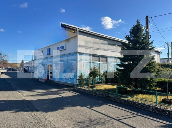 Spațiu comercial de vânzare Satu Nou de Jos - 182004SVC | BLITZ Baia Mare | Poza1