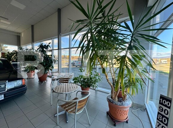 Spațiu comercial de vânzare Satu Nou de Jos - 182004SVC | BLITZ Baia Mare | Poza25