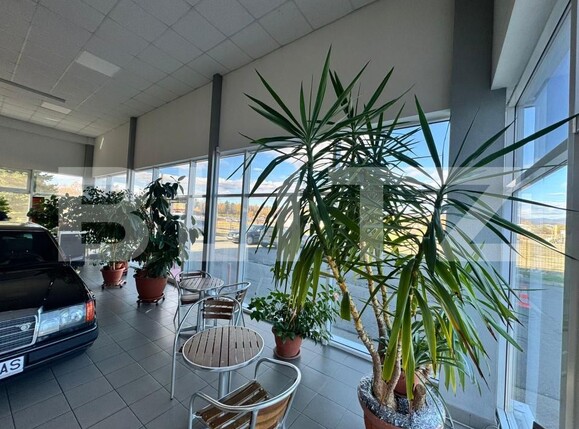 Spațiu comercial de vânzare Satu Nou de Jos - 182004SVC | BLITZ Baia Mare | Poza22