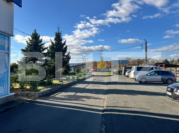 Spațiu comercial de vânzare Satu Nou de Jos - 182004SVC | BLITZ Baia Mare | Poza4