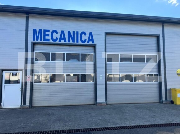 Spațiu comercial de vânzare Satu Nou de Jos - 182004SVC | BLITZ Baia Mare | Poza14