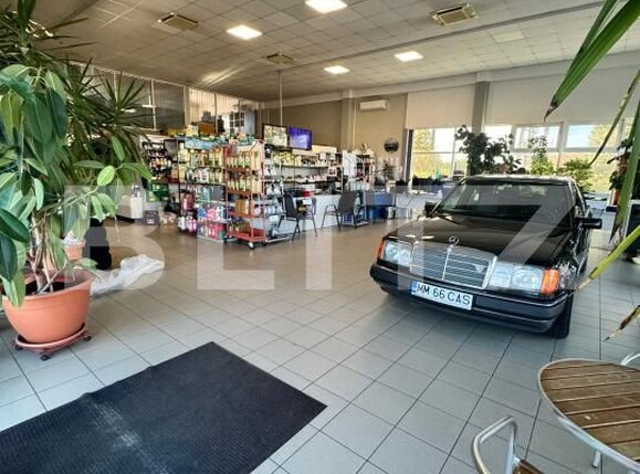 Spațiu comercial de vânzare Satu Nou de Jos - 182004SVC | BLITZ Baia Mare | Poza20