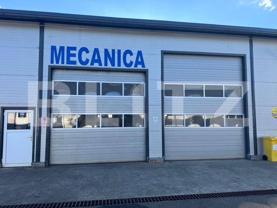 Spațiu comercial de vânzare Satu Nou de Jos - 182004SVC | BLITZ Baia Mare | Poza14