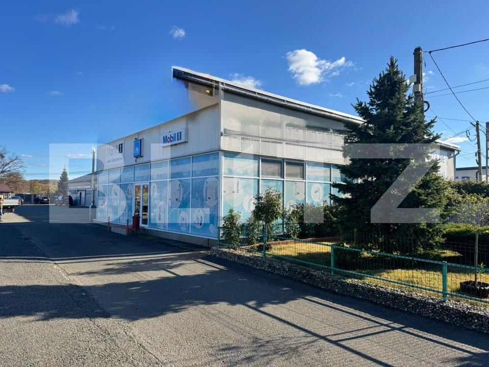 Spațiu comercial de vânzare Satu Nou de Jos - 182004SVC | BLITZ Baia Mare | Poza1