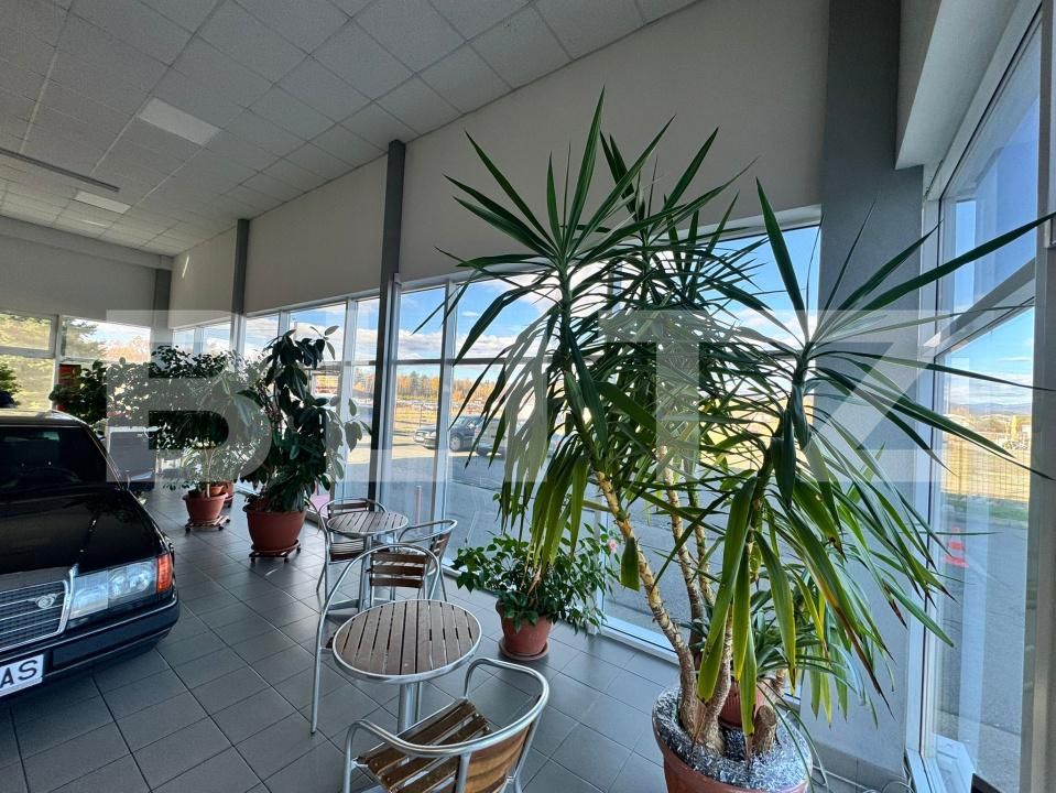 Spațiu comercial de vânzare Satu Nou de Jos - 182004SVC | BLITZ Baia Mare | Poza22