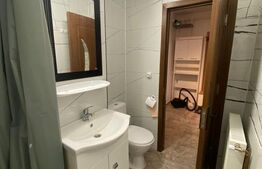 Apartament o cameră, 29 mp, zona Central