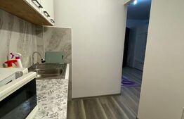 Apartament o cameră, 29 mp, zona Central