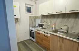 Apartament o cameră, 29 mp, zona Central
