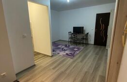 Apartament o cameră, 29 mp, zona Central