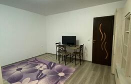 Apartament o cameră, 29 mp, zona Central