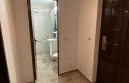 Apartament o cameră, 29 mp, zona Central