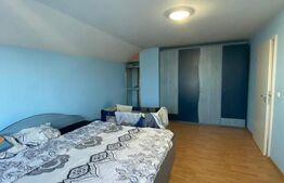 Casă P+M în Tămaia | 180 mp utili | Garaj | 6.8 ari |