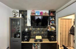 Garsoniera de vanzare, 20.50 mp, zona Sasar