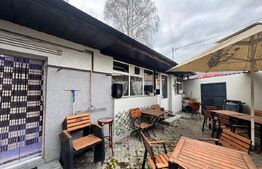 Restaurant funcțional, 258 mp, zona Central