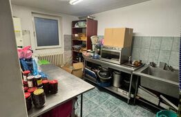 Restaurant funcțional, 258 mp, zona Central