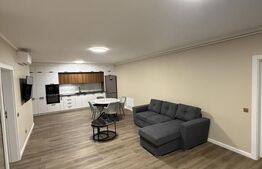 Apartament 2 camere, 45 mp, zona Central