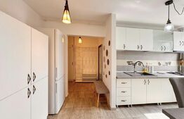 Apartament 2 camere, 65 mp, zona Central