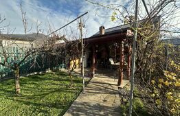 Vilă 330 mp utili + 970 mp teren, zona Independentei 