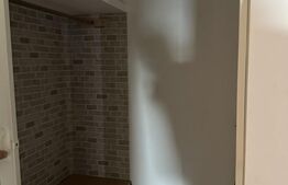 Vilă 330 mp utili + 970 mp teren, zona Independentei 