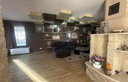 Vilă 330 mp utili + 970 mp teren, zona Independentei 