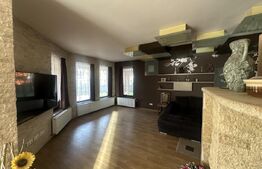 Vilă 330 mp utili + 970 mp teren, zona Independentei 