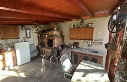 Vilă 330 mp utili + 970 mp teren, zona Independentei 