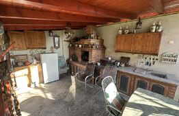 Vilă 330 mp utili + 970 mp teren, zona Independentei 