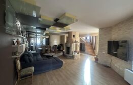 Vilă 330 mp utili + 970 mp teren, zona Independentei 