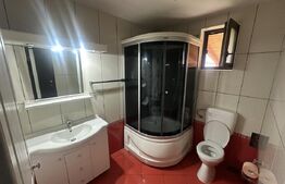 Vilă 330 mp utili + 970 mp teren, zona Independentei 