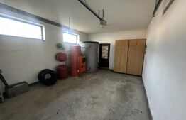 Vilă 330 mp utili + 970 mp teren, zona Independentei 
