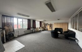 Spații comerciale și Teren 6000 mp - Baia Mare