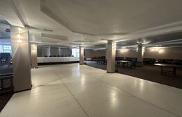 Spații comerciale și Teren 6000 mp - Baia Mare