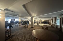 Spații comerciale și Teren 6000 mp - Baia Mare