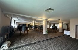 Teren 6000 mp (PUZ P+4) & Spații Comerciale - Baia Mare