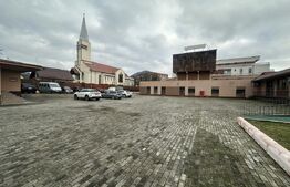 Teren 6000 mp (PUZ P+4) & Spații Comerciale - Baia Mare