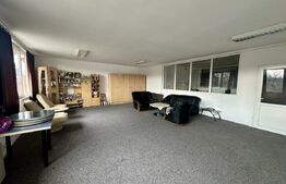 Teren 6000 mp (PUZ P+4) & Spații Comerciale - Baia Mare