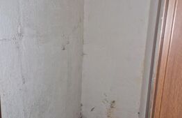 Apartament 2 camere, 50 mp, cartierul V. Alecsandri