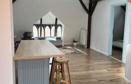 Duplex de vanzare, 220 mp, zona Centrul Vechi