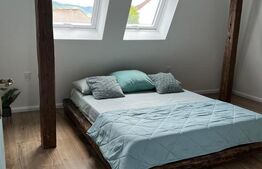 Duplex de vanzare, 220 mp, zona Centrul Vechi
