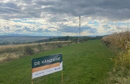 Teren pentru investitie