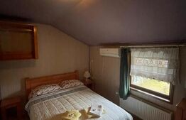 Pensiune P+1+M de vanzare, 396 mp, zona Orasul Vechi