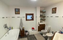 Pensiune P+1+M de vanzare, 396 mp, zona Orasul Vechi