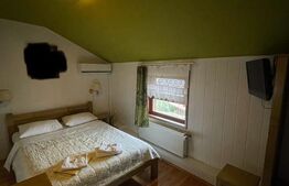 Pensiune P+1+M de vanzare, 396 mp, zona Orasul Vechi