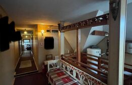 Pensiune P+1+M de vanzare, 396 mp, zona Orasul Vechi