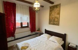 Pensiune P+1+M de vanzare, 396 mp, zona Orasul Vechi