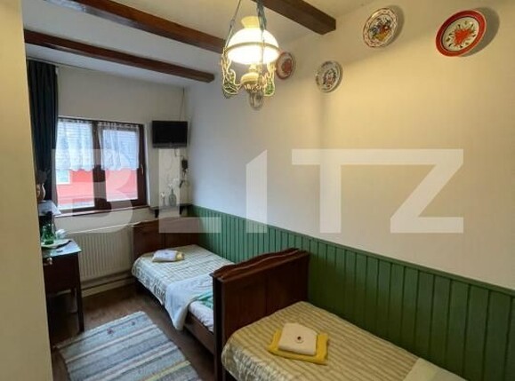 Casa de vânzare 11 camere Orasul Vechi - 183263CV | BLITZ Baia Mare | Poza13